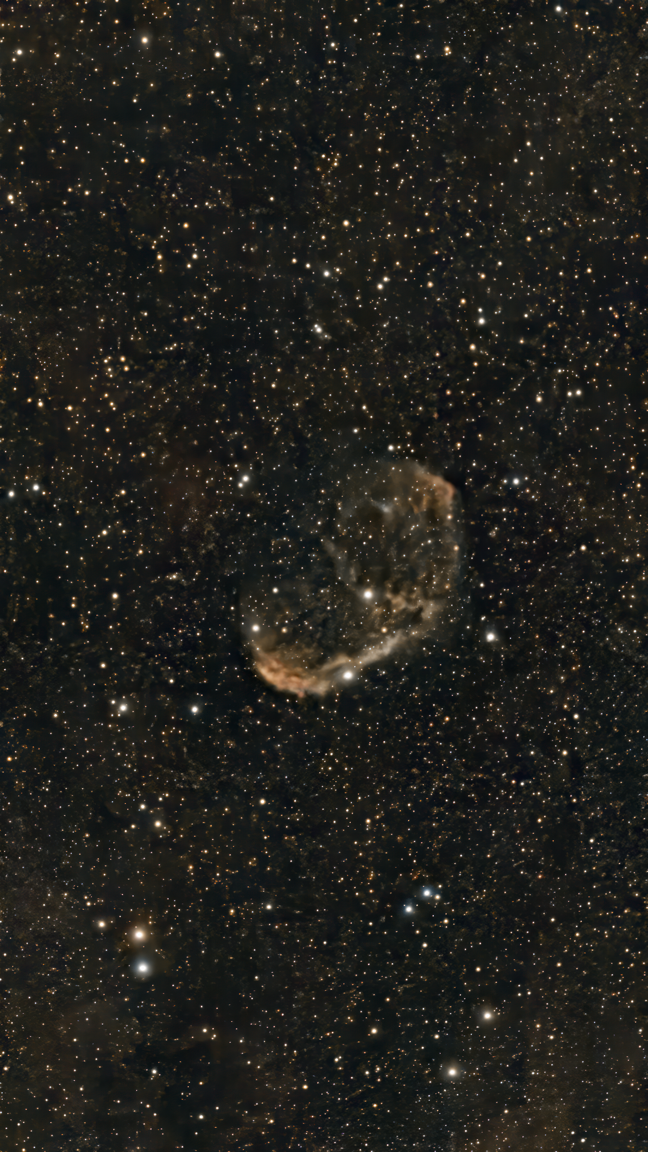 NGC 6888 Crescent Nebula